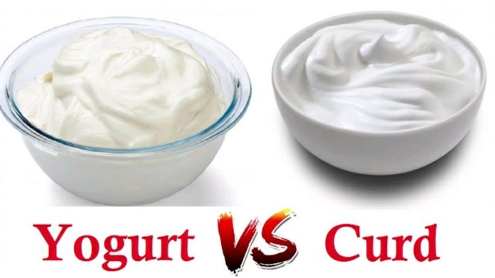 Difference between yogurt and curd